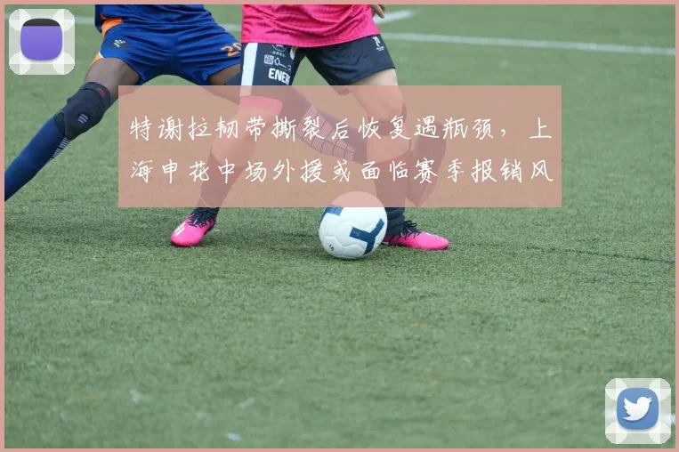 特谢拉韧带撕裂后恢复遇瓶颈，上海申花中场外援或面临赛季报销风险